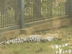 -上方山森林动物世界