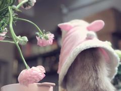 -小时光咖啡馆(北锣鼓巷店)