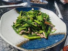 -阿巧茶庄