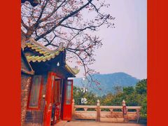 -鼎湖山风景区