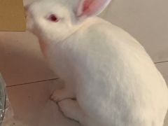 -第三空间·趣味桌游·轰趴.室内CS.剧本杀(大武汉1911店)