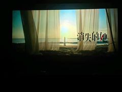 -华谊兄弟影院(IMAX洋桥店)