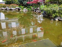 -太湖湾开元名庭大酒店