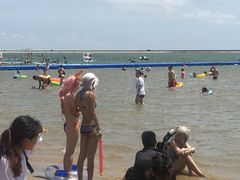 -碧海金沙