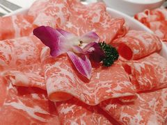 -小龙坎火锅(仓山万达店)