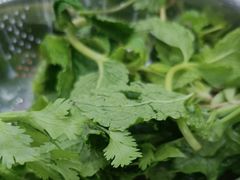 -黔府豆米火锅野菜馆(南马店)