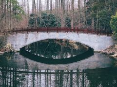 -东平国家森林公园
