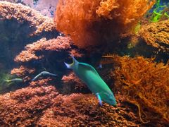 -海合安成都极地海洋公园