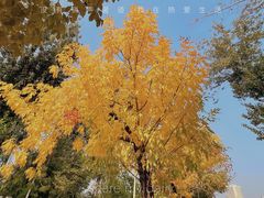 -中国农业博物馆