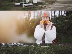 -柑橘农场