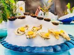 马粪海胆-上宴精品海鲜姿造(晶融汇旗舰店)