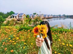 -日照海滨国家森林公园