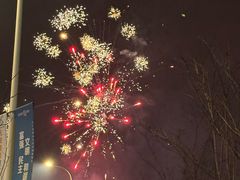 -顾村公园3号门停车场