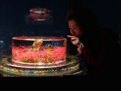 -上海环球金融中心云端足球盛典