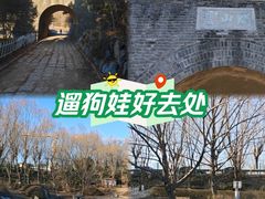 -云岗森林公园