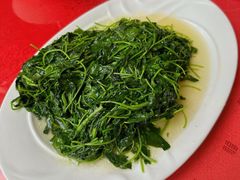 -明珠湖天鹅苑·农家菜馆