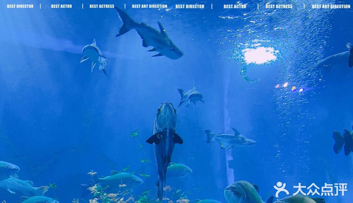 秋日遛娃海洋馆一日游