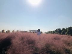 -映月湖中央公园