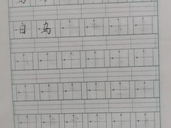 -赵汝飞练字(南京路国际贸易中心校区)