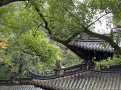 -普陀山慧济禅寺