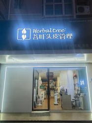 -菩叶脱发白发中心