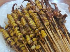 玉米-十里铺铁板鱿鱼