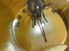 -上海昆虫博物馆