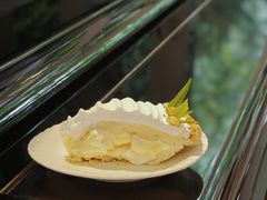 -Fern Forest Cafe