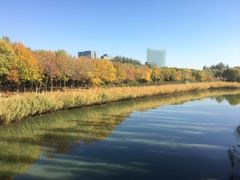 -大兴滨河森林公园