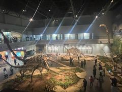 -自贡恐龙博物馆