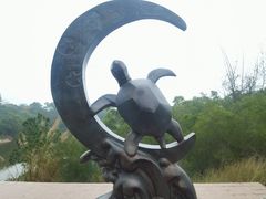 -广东惠东海龟国家级自然保护区