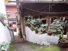 -懒鱼时光馆(沙坪坝店)