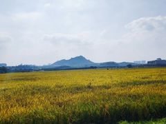 -光明小镇欢乐田园