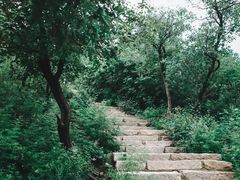 -北京西山国家森林公园