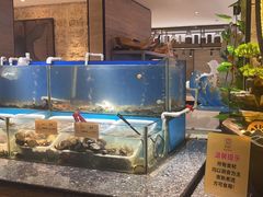 -悦鼎汇海鲜姿造