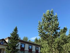 -喀纳斯鸿福生态度假酒店