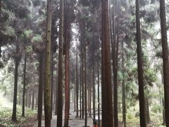 -娄山关景区