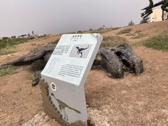-二连浩特国家地质公园