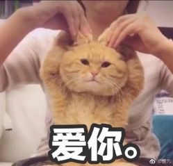-艺之剪