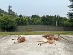 -乐和乐都主题乐园