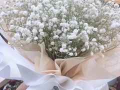 -Libra Flora花店(骆岗中央公园店)