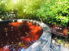 -仁爱团泊湖温泉中心