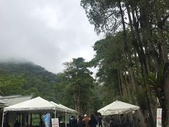 -瑞穗牧场