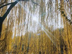 -南翠屏公园