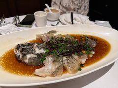 -南麓·浙里(外滩店)