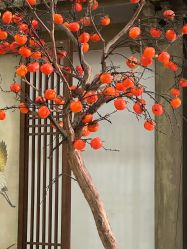 -金夫人婚纱摄影(总店)