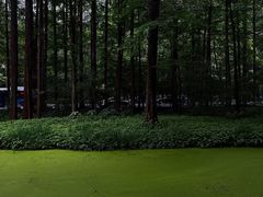 -虎跑公园