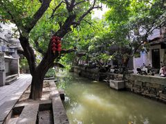 -小洲村