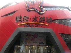 -鹏欣水游城