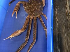 -蟹后Crabber(水悦城店)